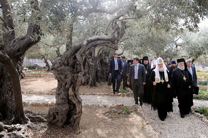 Gerusalemme - Il Patriarca Kirill visita il Giardino del Getsemani